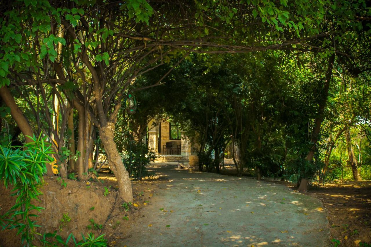 Panna Tiger Resort- Riverside Property Rājgarh Zewnętrze zdjęcie