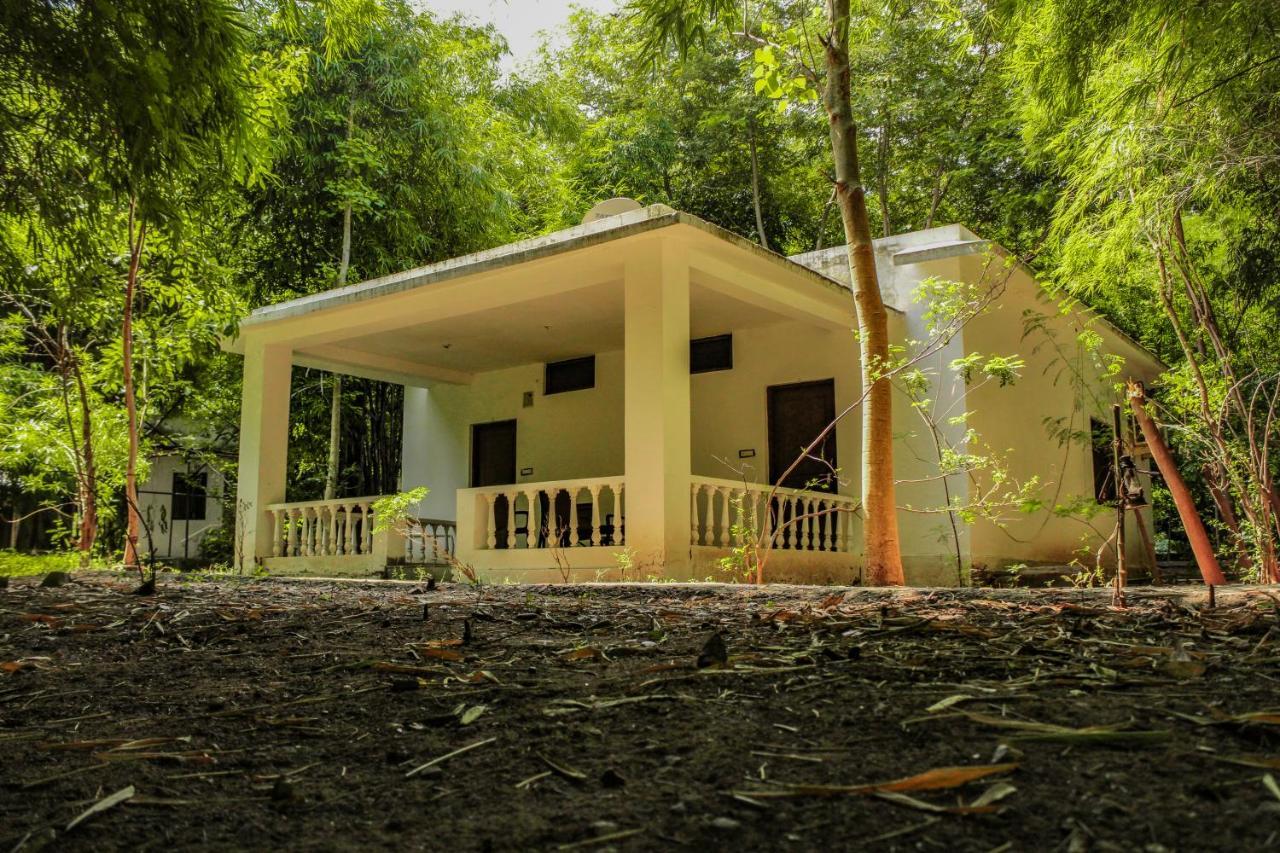 Panna Tiger Resort- Riverside Property Rājgarh Zewnętrze zdjęcie