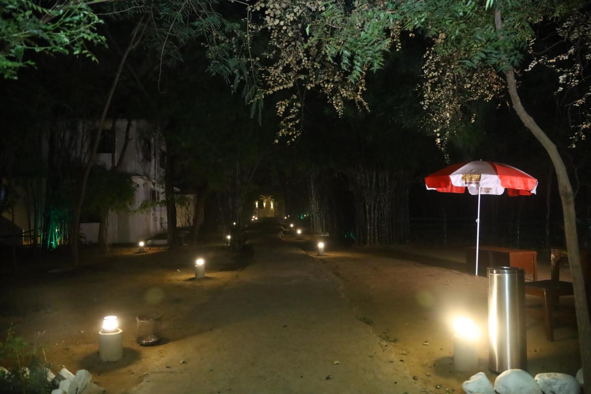 Panna Tiger Resort- Riverside Property Rājgarh Zewnętrze zdjęcie